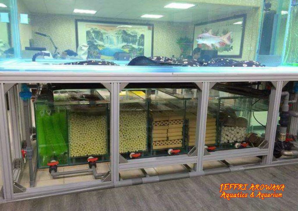 jeffri arowana arwana cabinet mebel akuarium kustom mewah surabaya