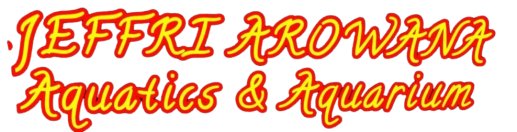 logo jeffri